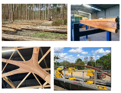 Establishing Viable Product and Market Solutions for Hardwood Plantation Thinnings and Small Diameter Logs