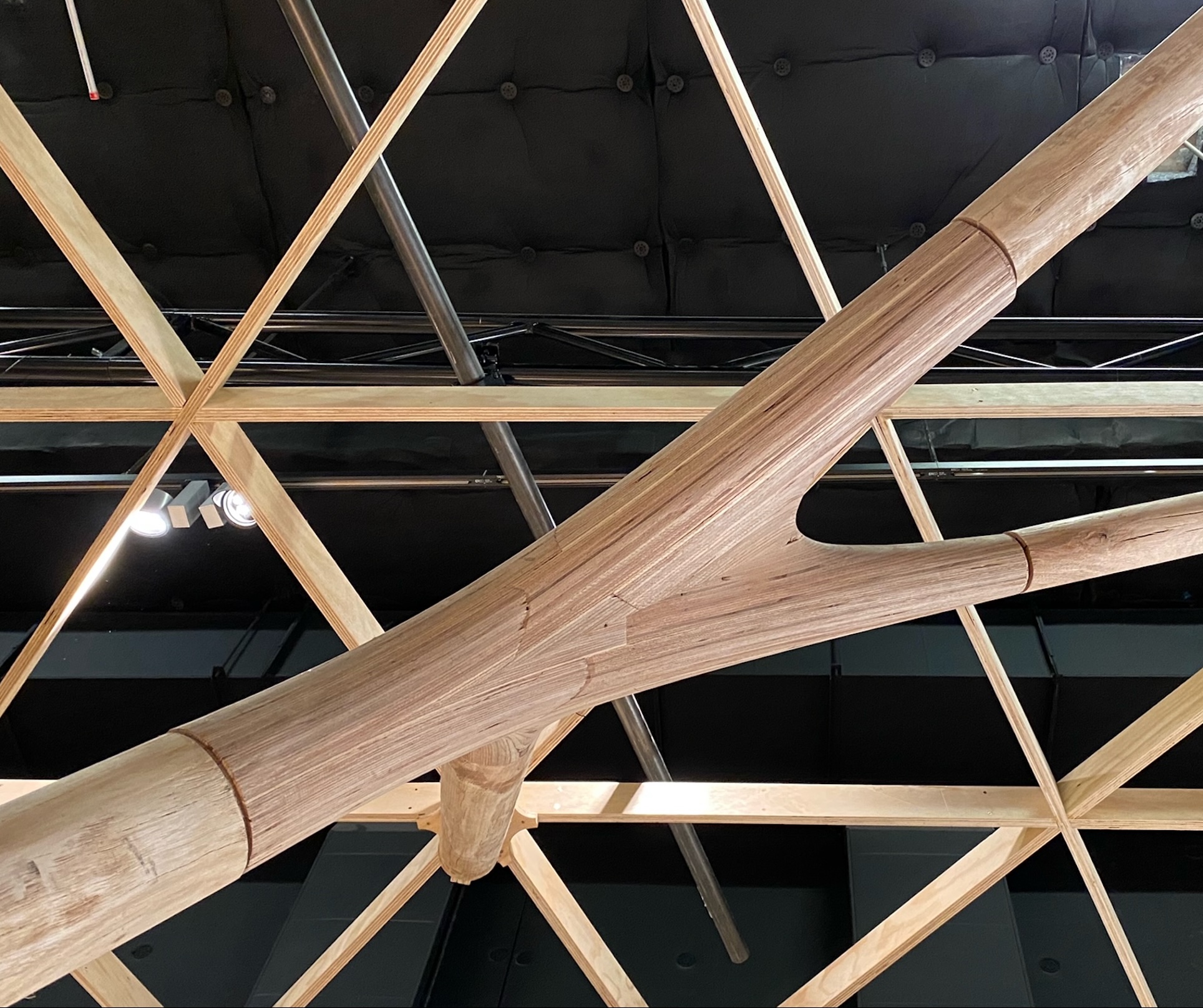 Establishing viable product and market solutions for hardwood plantation thinnings and small logs