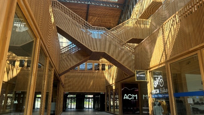Hub CI completes Gottstein International Fellowship on Moisture Management in Mass Timber Buildings
