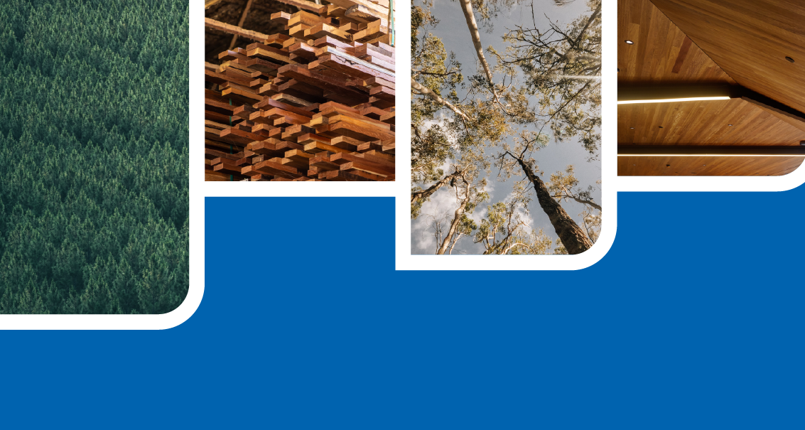 Queensland Future Timber in Focus – 5 Year Plan