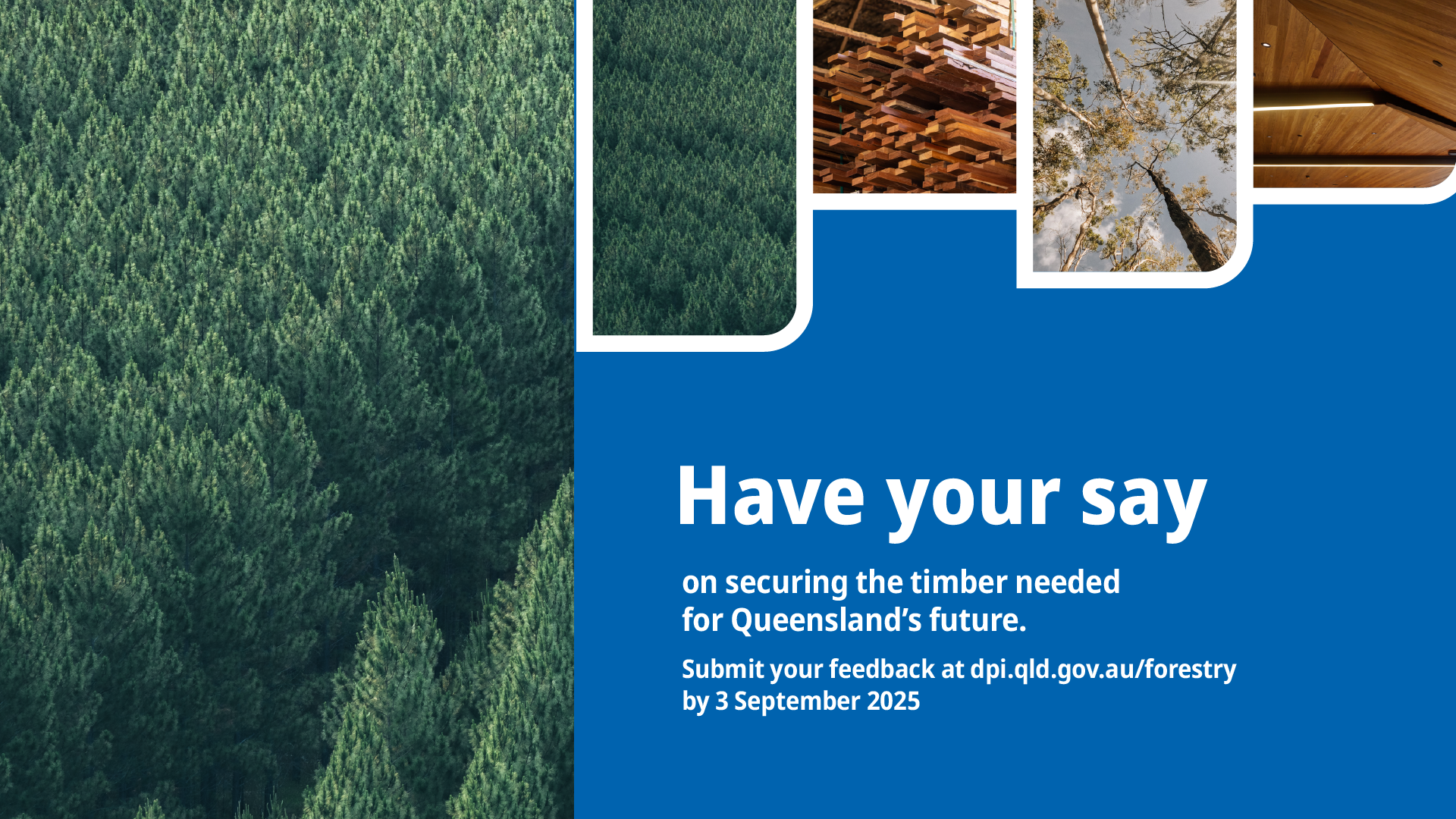 Draft Queensland Future Timber Plan