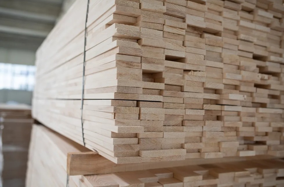 WoodSolutions and Timber Insight advance sustainability